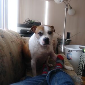 Meet your Posher, Connie